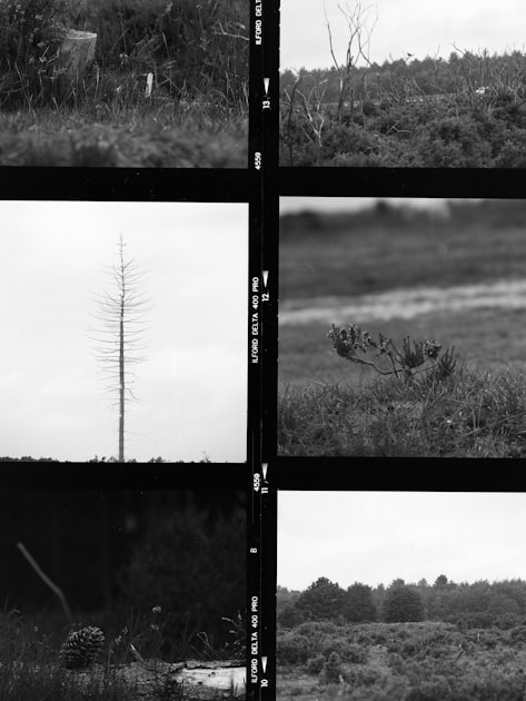 Creating a Sense of Home